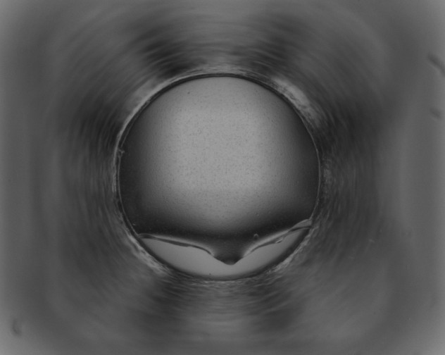 X0000092281236200710051137