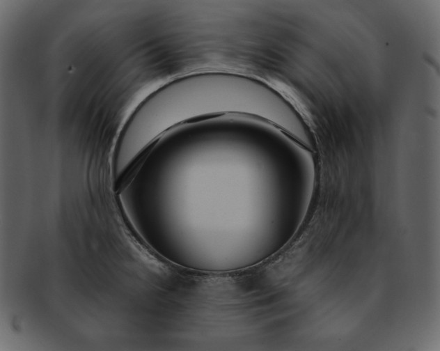 X0000092281238200710051137