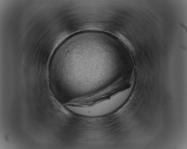 X0000092281240200710051137