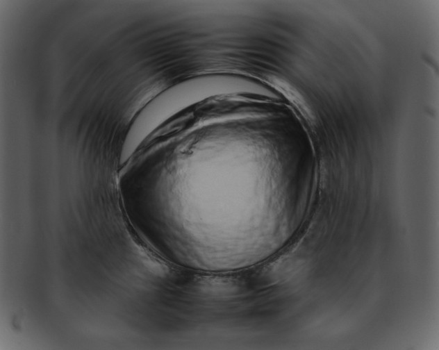 X0000092281241200710051137