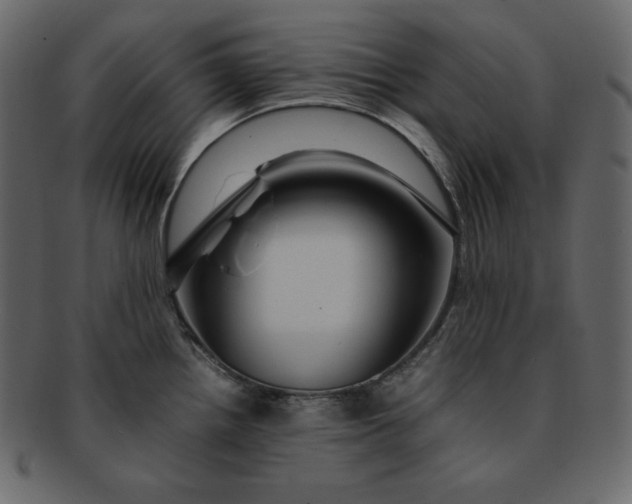 X0000092281242200710051137