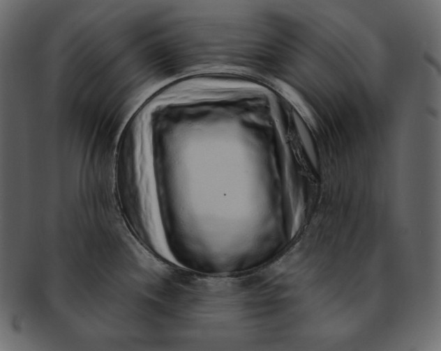 X0000092281244200710051137