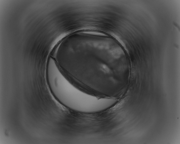 X0000092281245200710051137