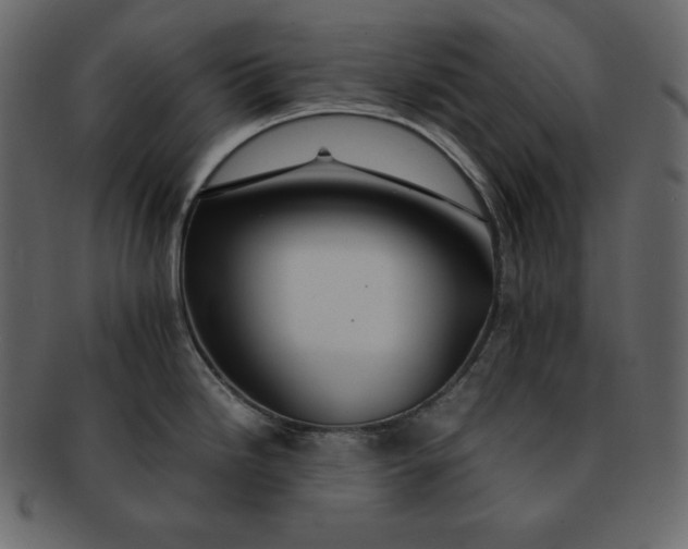 X0000092281246200710051137