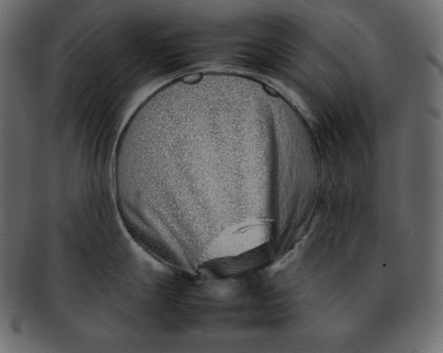 X0000092281247200710051137