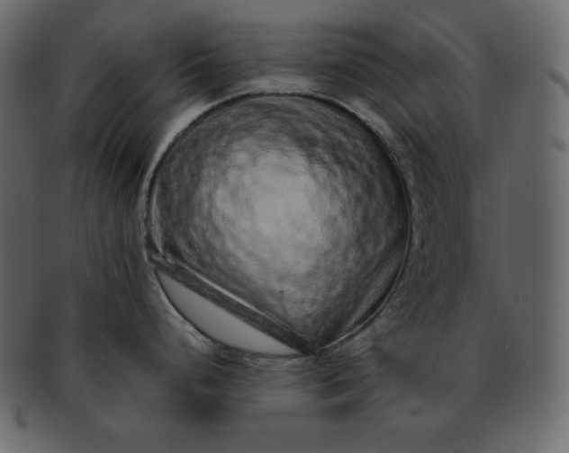 X0000092281248200710051137