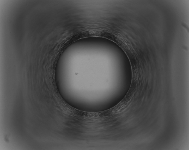 X0000092281249200710051137