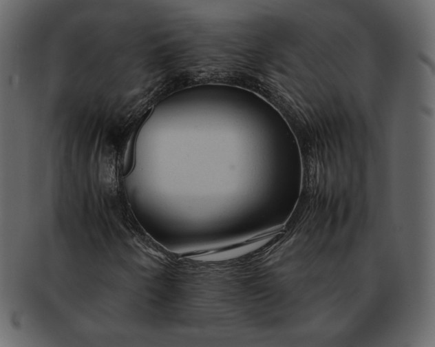 X0000092281250200710051137