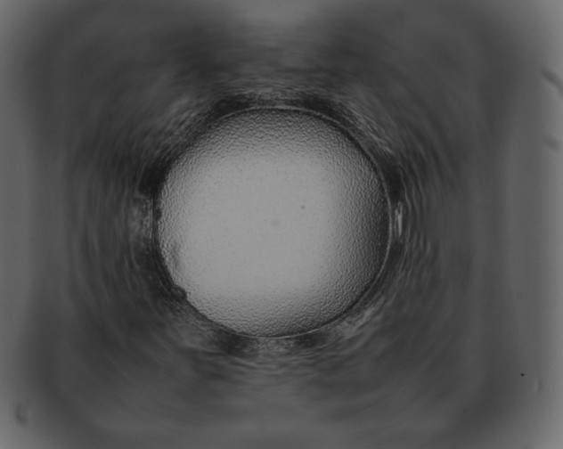 X0000092281251200710051137