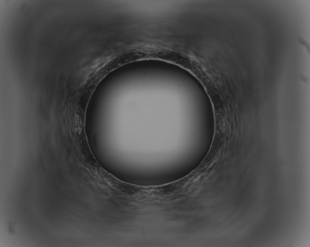 X0000092281253200710051137