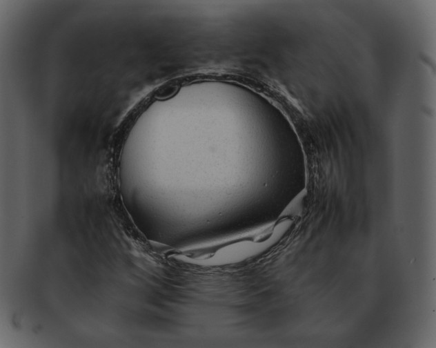 X0000092281256200710051137