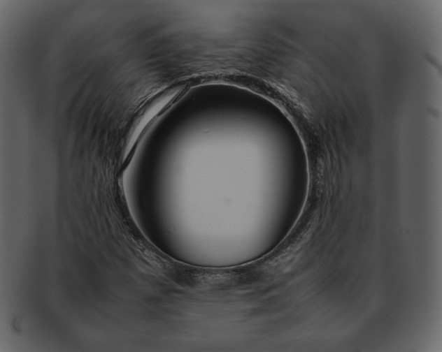 X0000092281257200710051137