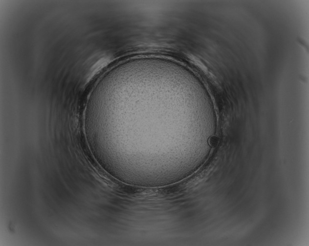 X0000092281259200710051137