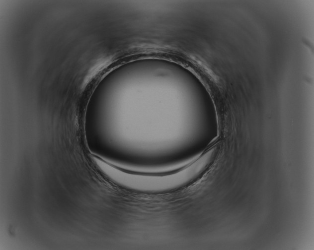 X0000092281261200710051137