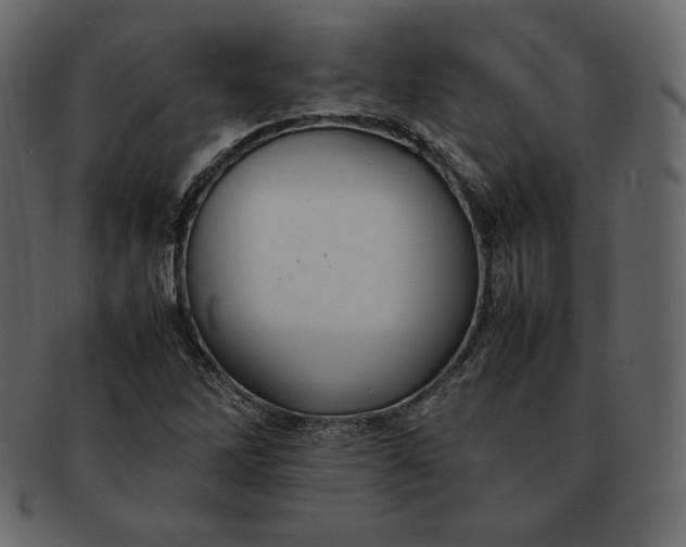 X0000092281262200710051137