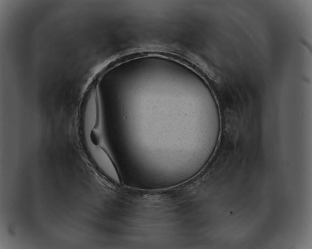 X0000092281264200710051137