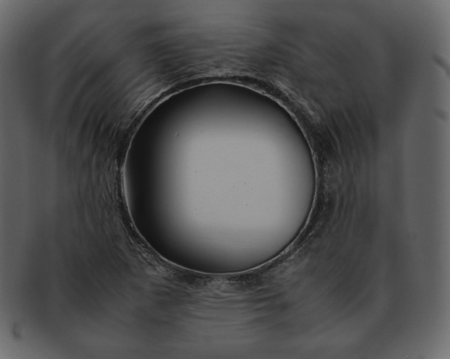 X0000092281265200710051137