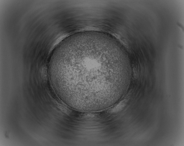 X0000092281266200710051137