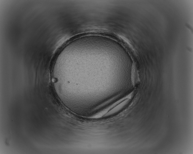 X0000092281267200710051137