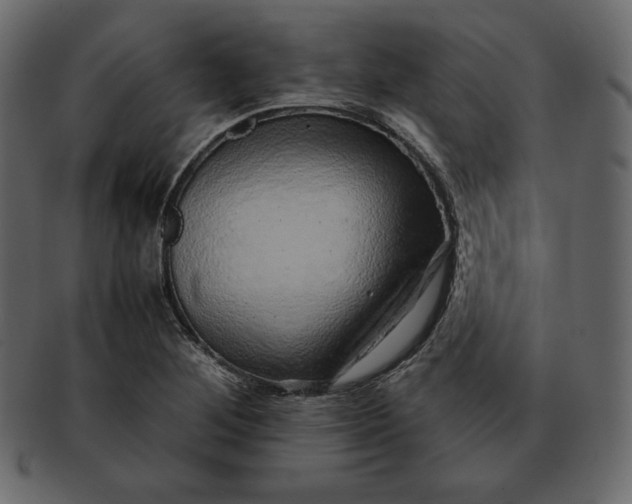 X0000092281268200710051137