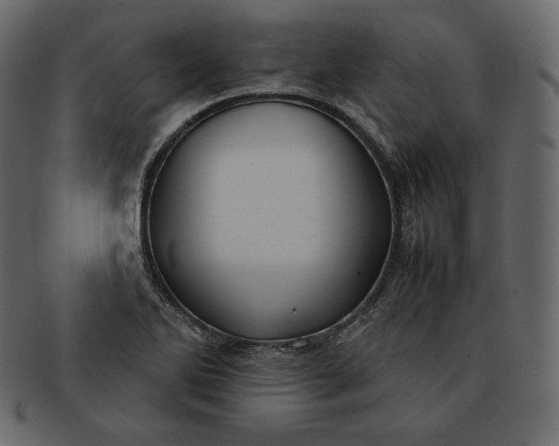 X0000092281270200710051137