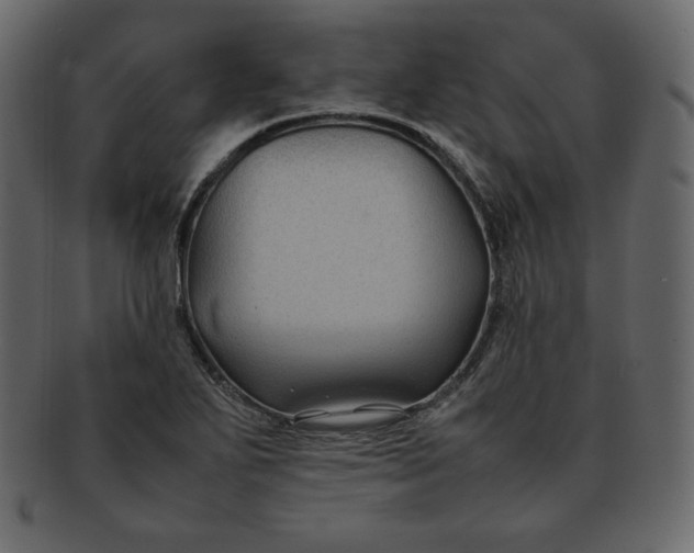 X0000092281271200710051137