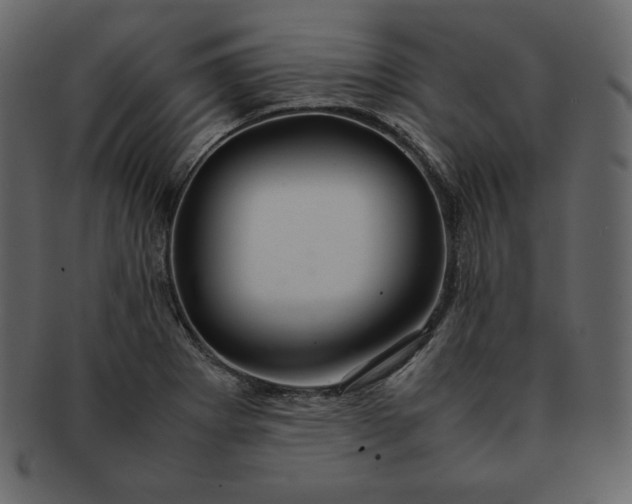 X0000092281273200710051137