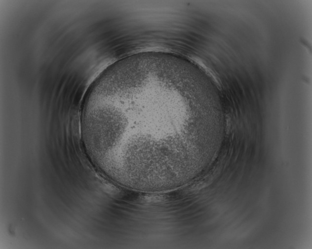 X0000092281274200710051137