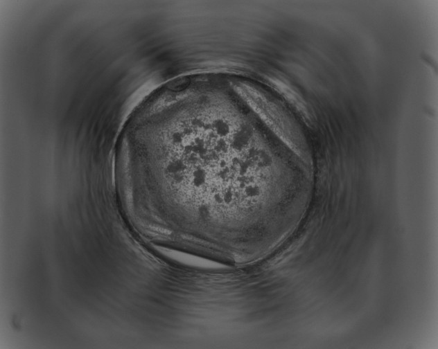 X0000092281275200710051137