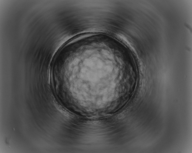 X0000092281276200710051137