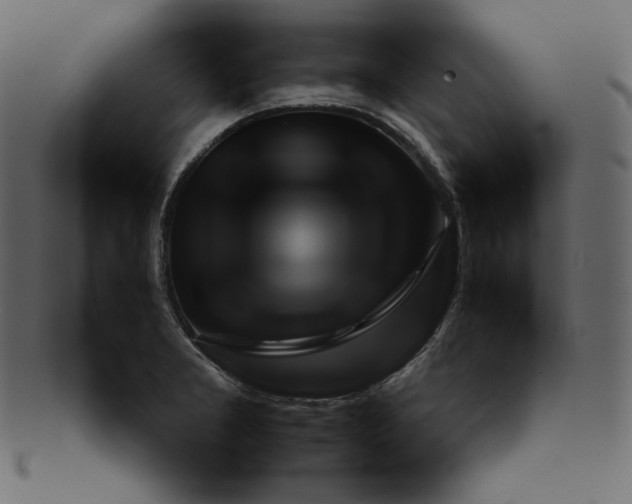 X0000092281277200710051137