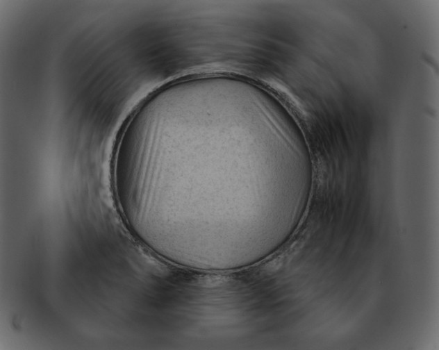 X0000092281278200710051137