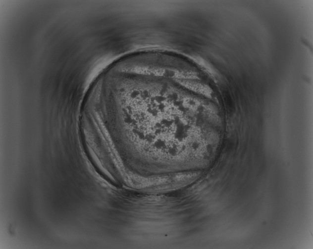 X0000092281279200710051137