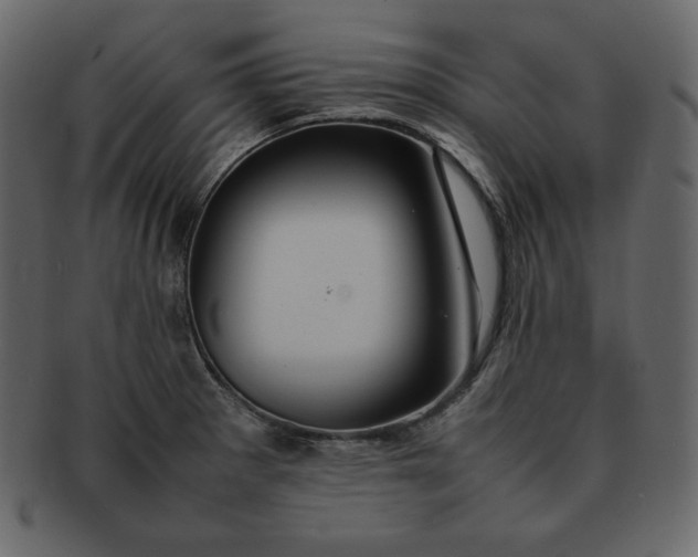 X0000092281281200710051137