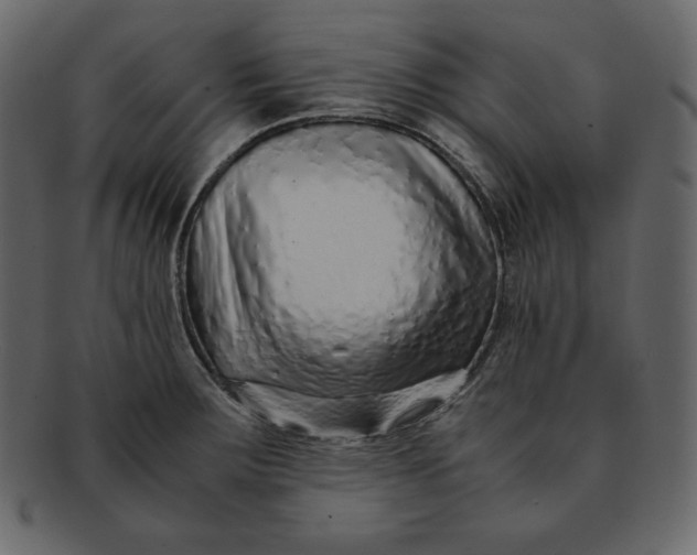 X0000092281283200710051136