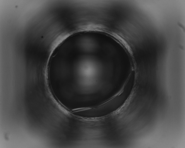 X0000092281285200710051136