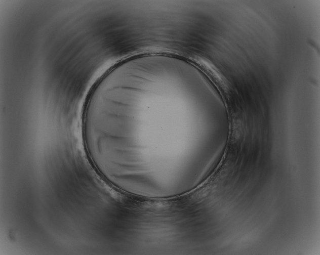 X0000092281286200710051136