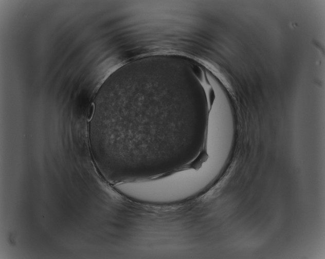 X0000092281289200710051136