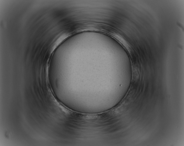 X0000092281290200710051136