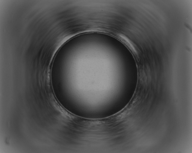 X0000092281292200710051136