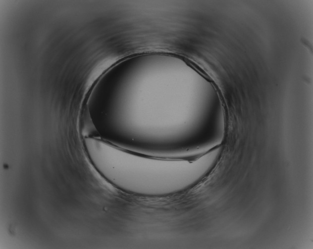 X0000092281293200710051136