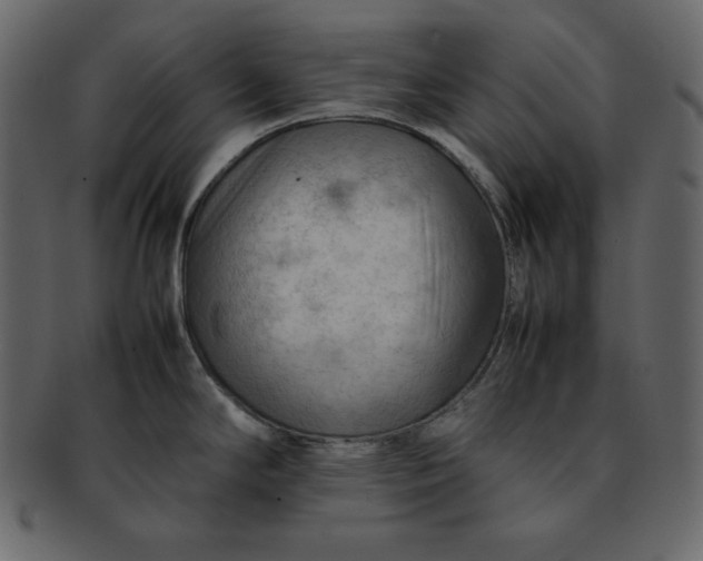 X0000092281294200710051136