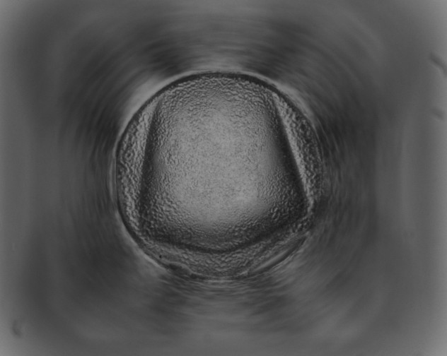 X0000092281295200710051136