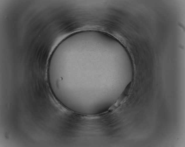 X0000092281296200710051136