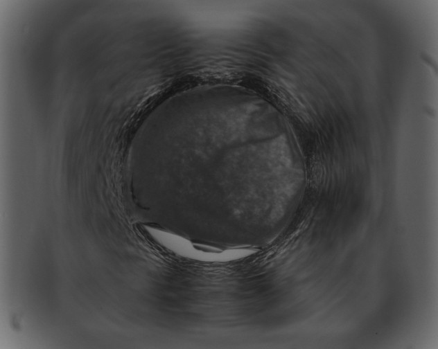 X0000092281297200710051136