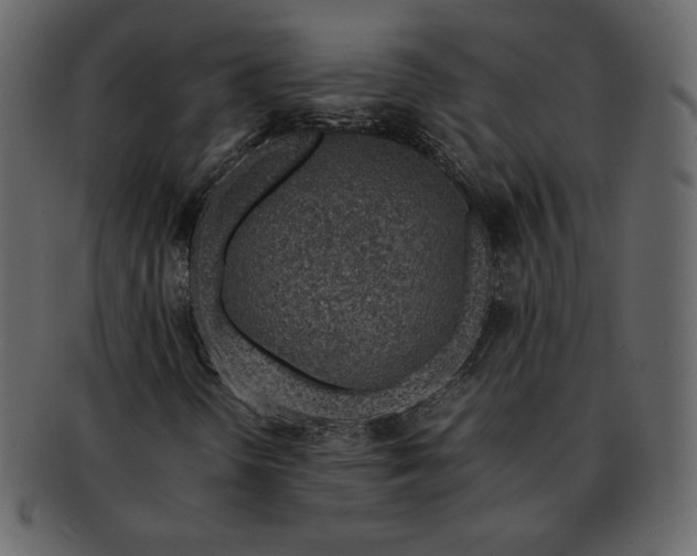 X0000092281298200710051136