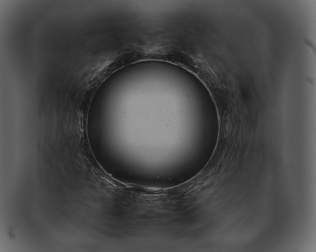 X0000092281301200710051136