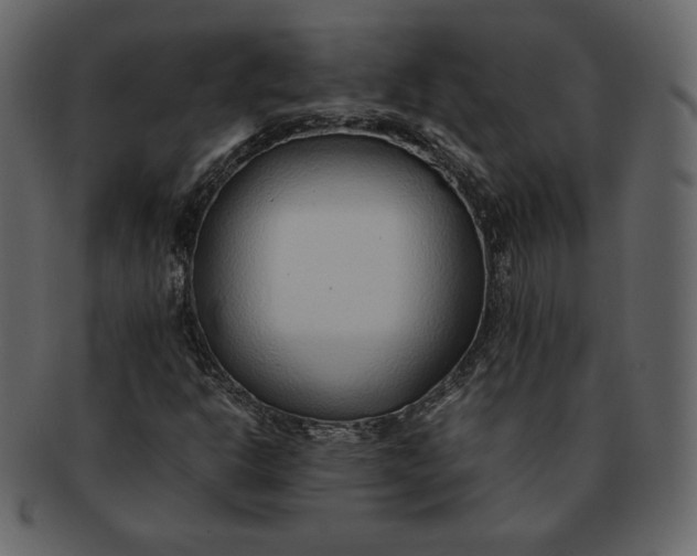 X0000092281302200710051136