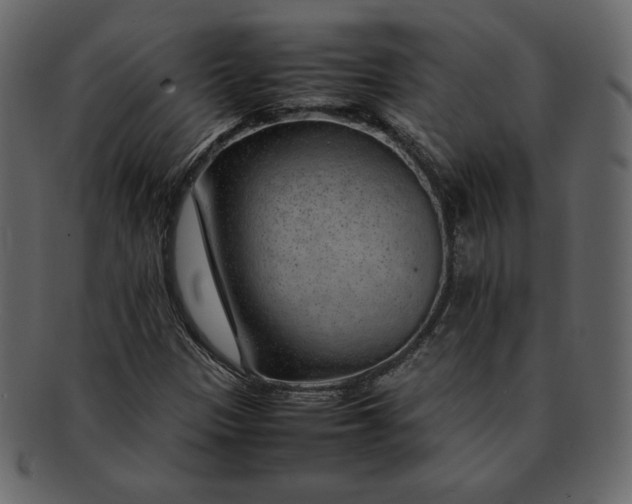 X0000092281305200710051136