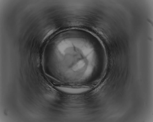 X0000092281306200710051136